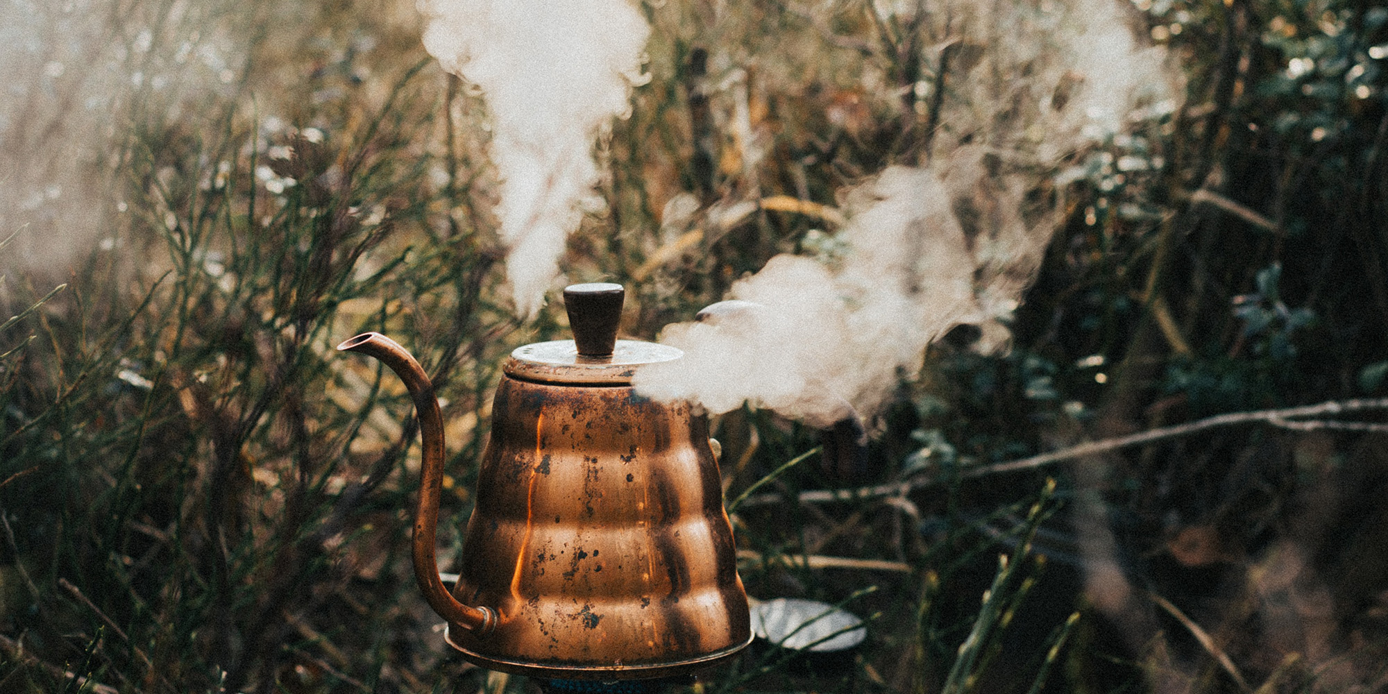 The Boiling Point and The Illusion of Control Devo Image