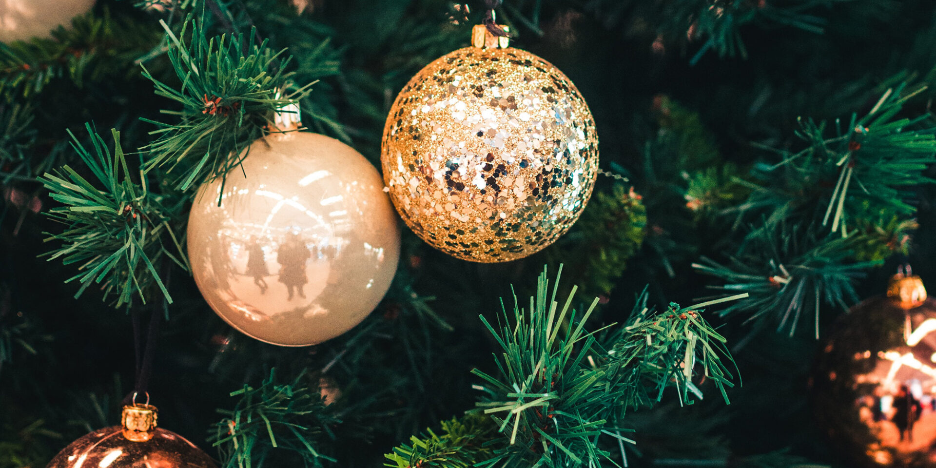 Why the Virgin Birth is So Important Calvary Chapel Fort Lauderdale