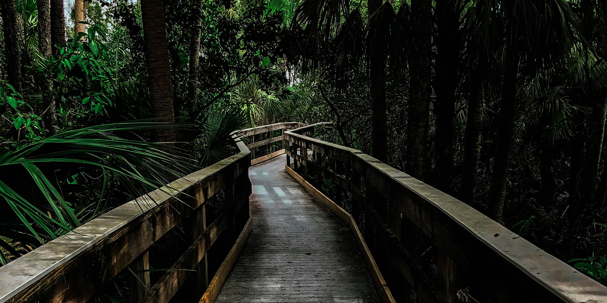 jamie-hagan-Hcq3i_TmszE-unsplash-2