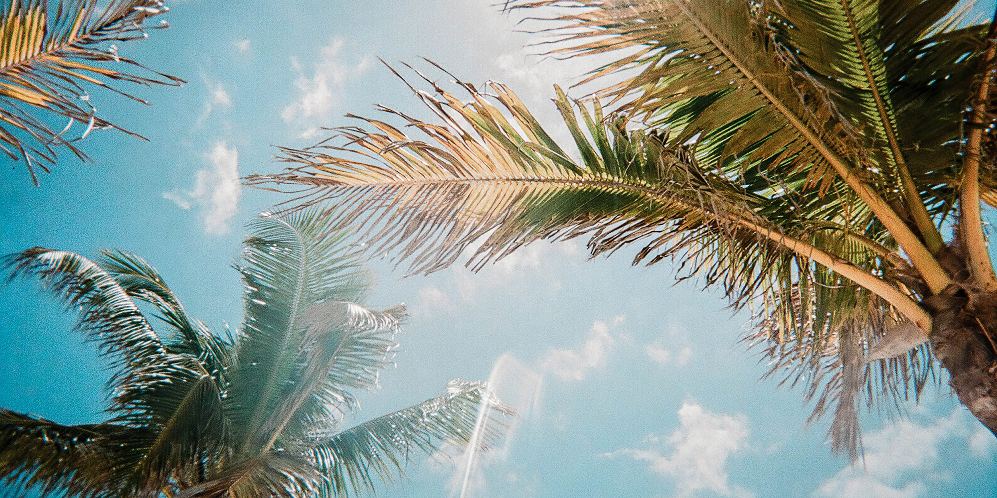 jorge-vasconez-CpeUoLVTAs8-unsplash-2